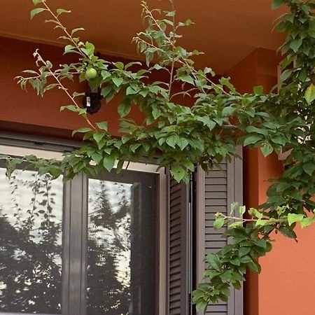 Lefkas Apartment Kalligoni 외부 사진